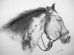 Just fine art artist