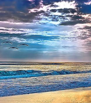 Just Fine Art - Art Print