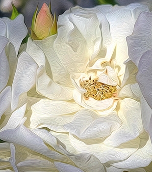 Just Fine Art - Art Print