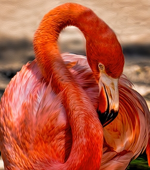 Just Fine Art - Art Print