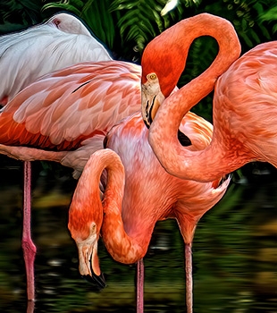 Just Fine Art - Art Print