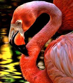 Just Fine Art - Art Print